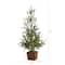 28" Unlit Alpine Artificial Potted Christmas Tree